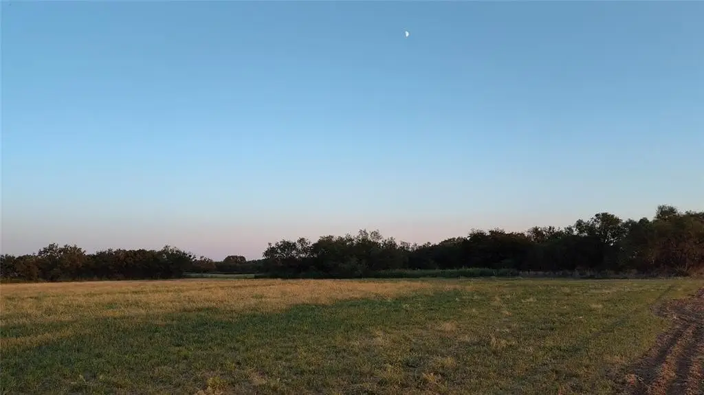 Picture 24