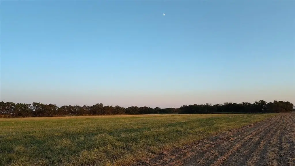 Picture 23
