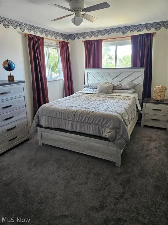 Picture 19