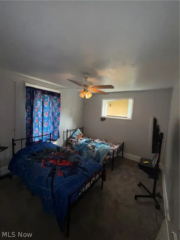Picture 15