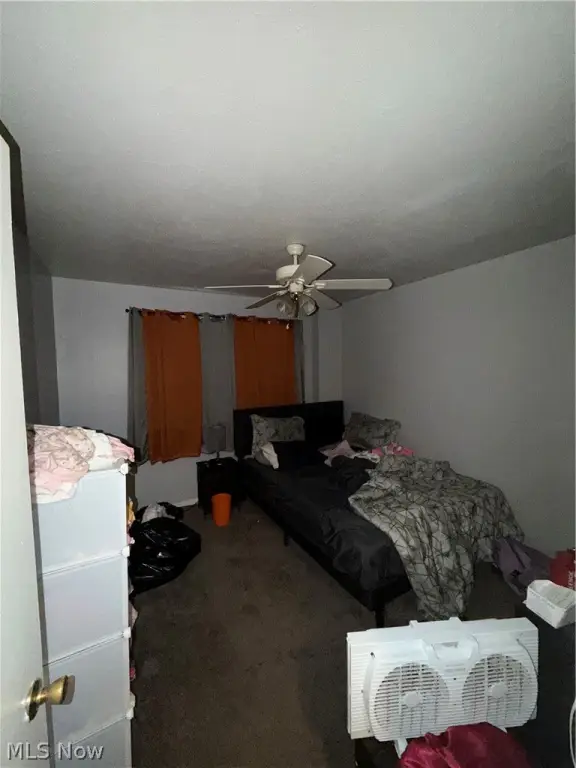 Picture 9