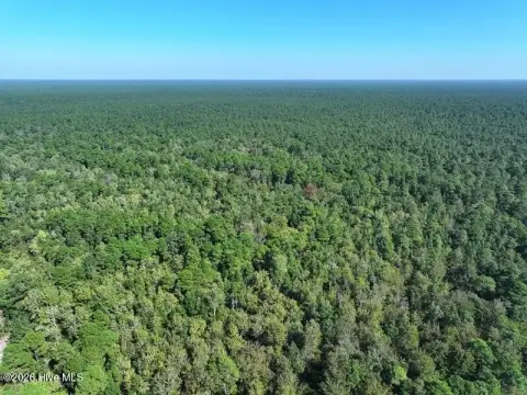 Wooded Hunting Land