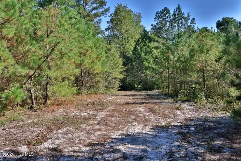 Picture 9
