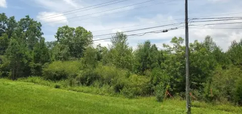 Commercial Land on Hwy 231