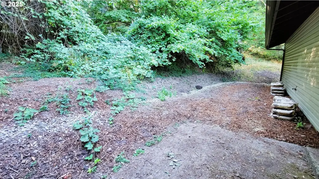 Picture 16