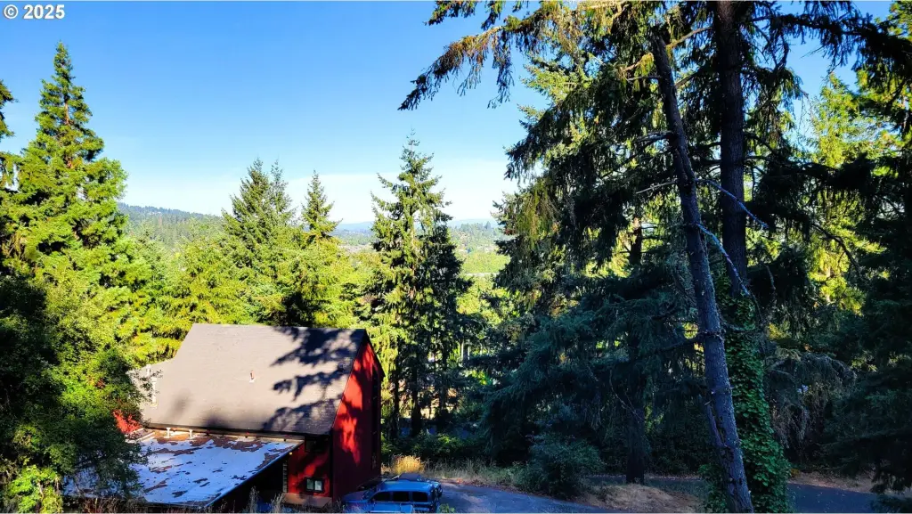 Picture 19