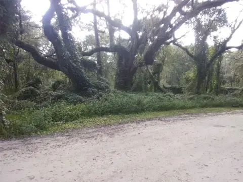 Residential Lot Near US-301