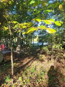 Lakefront Camping Lot in Linn