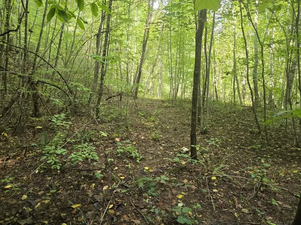 Picture 4