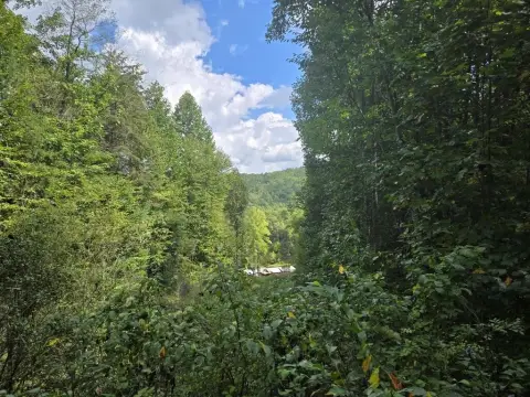 Wooded Mountain Land
