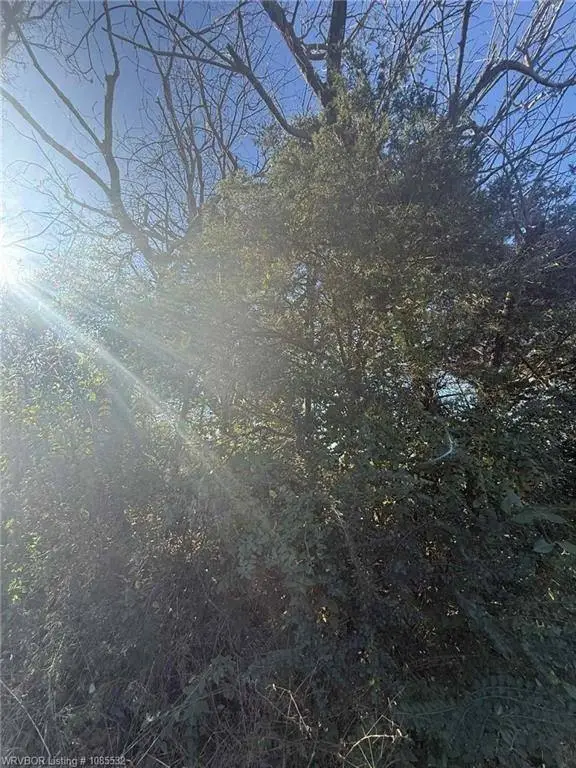 Picture 11