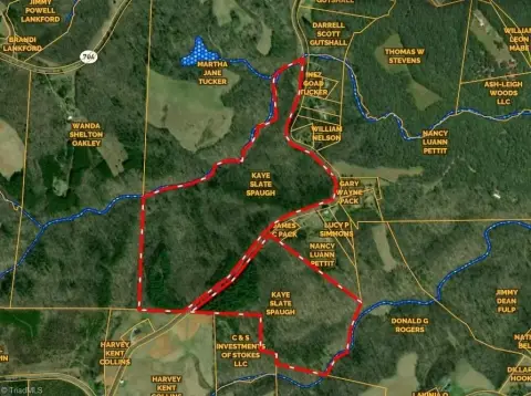 Secluded Timber Tract For Sale