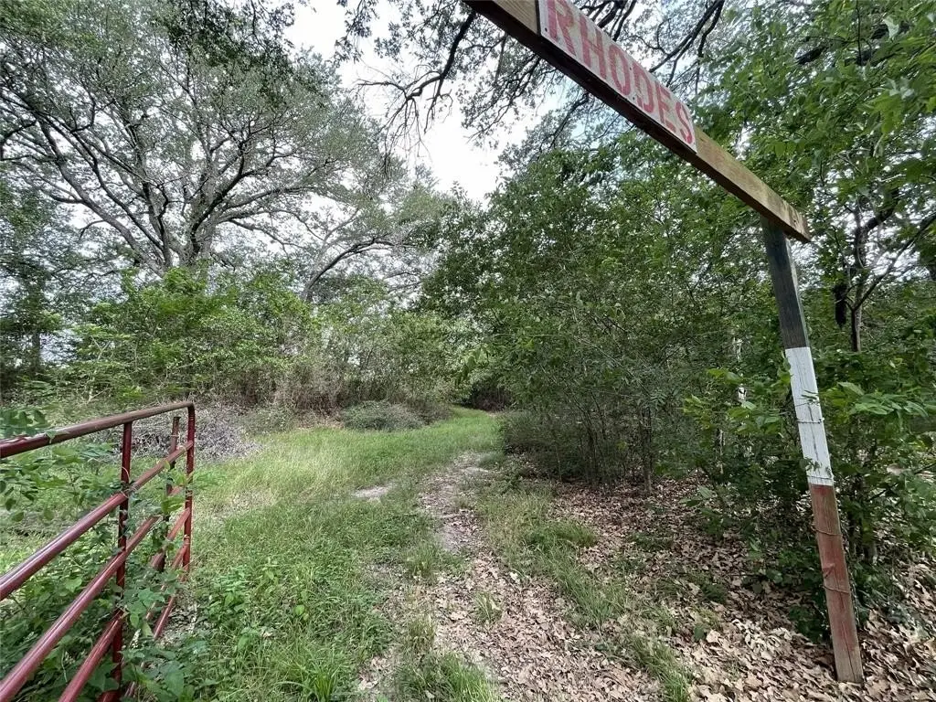 Picture 16