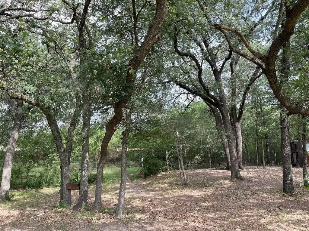 Picture 15