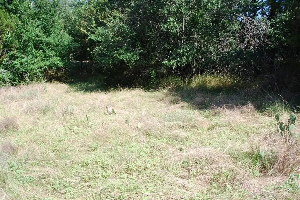 Picture 8