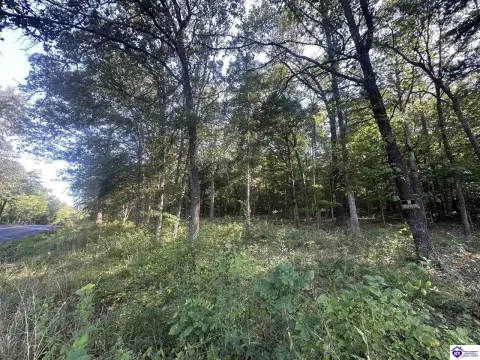 Residential Land in Clarkson, KY