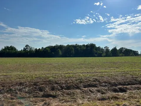 Residential Land in Cottonwood, AL