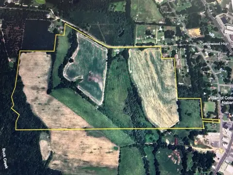 Residential Land in Cottonwood, AL