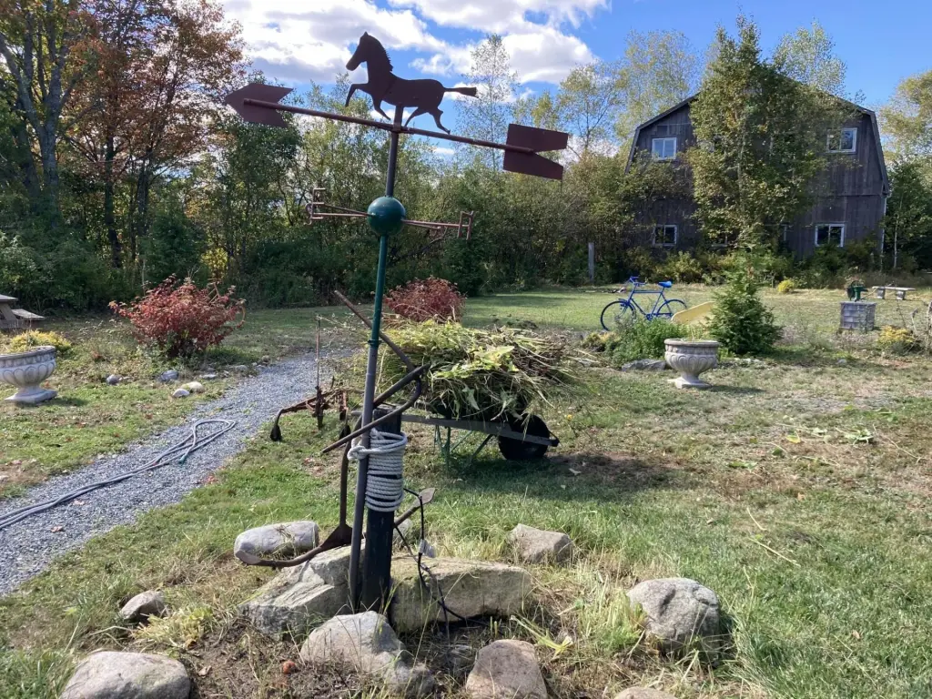 Picture 29