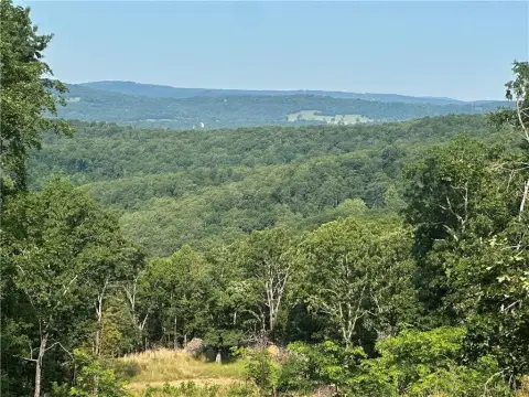 Elkins Recreational Land with Views