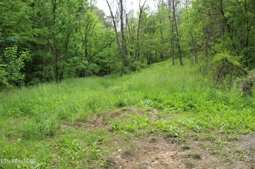 Picture 15