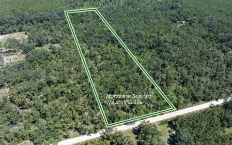 10 Acres in McAlpin, Florida