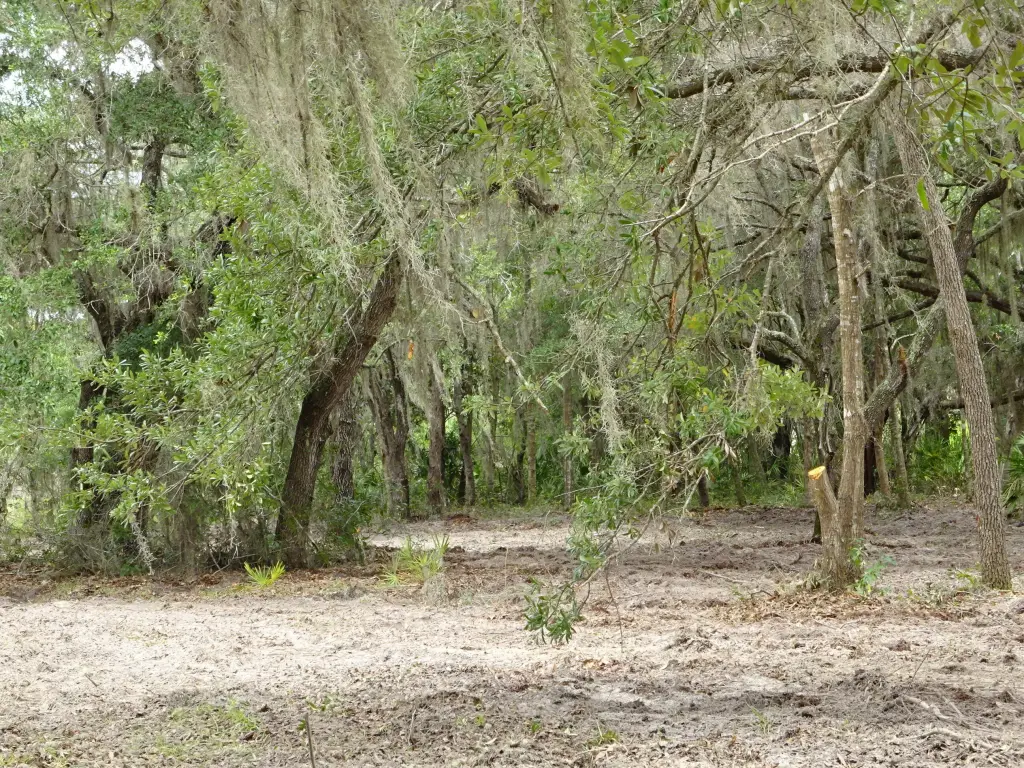 Picture 15