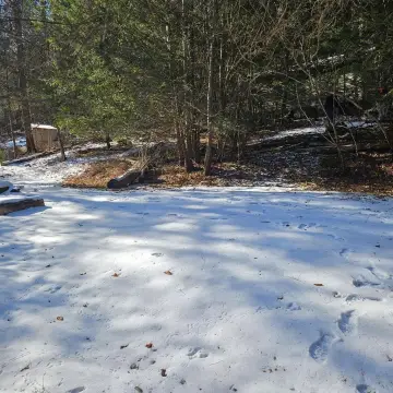 Land Near Elk Territory