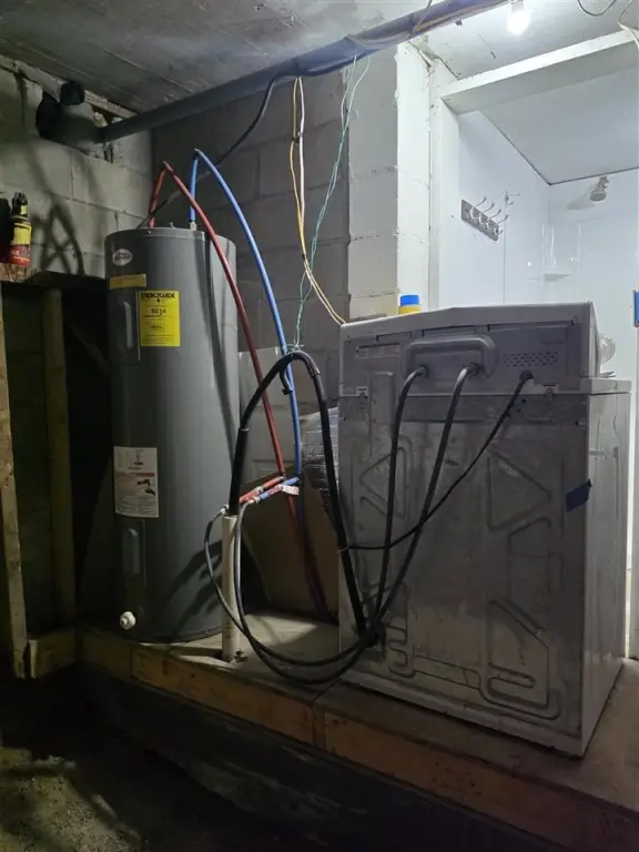 Picture 15