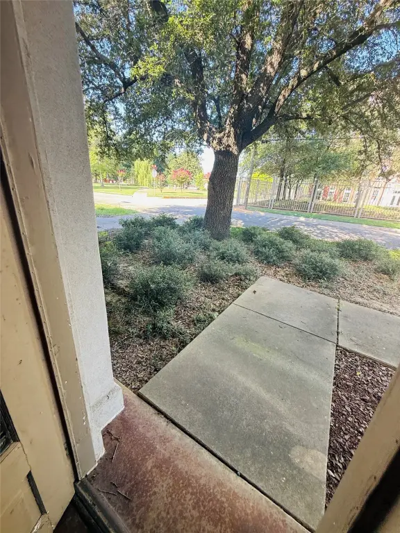 Picture 16