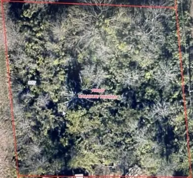 Land Near Lake Texoma