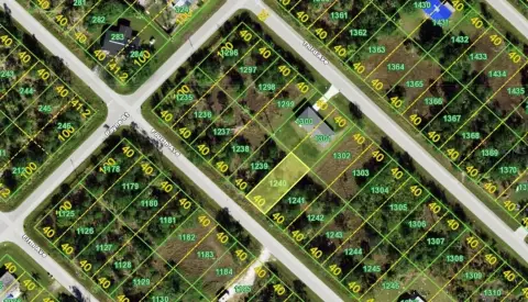 Residential Lot in Punta Gorda