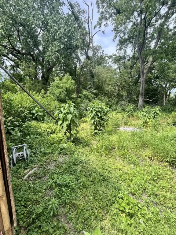 Picture 20