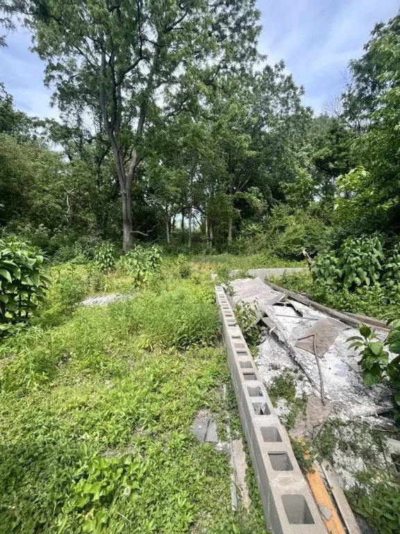 Picture 21