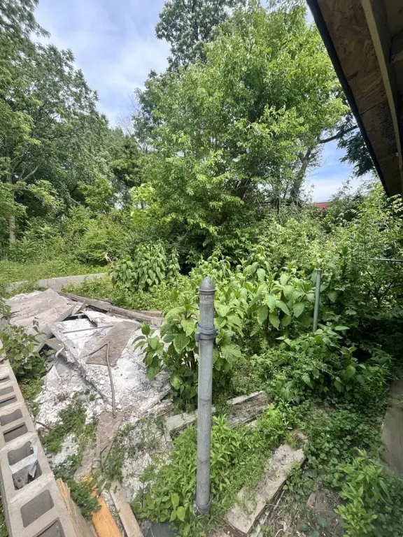 Picture 22