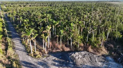 30 Acres on Pine Island