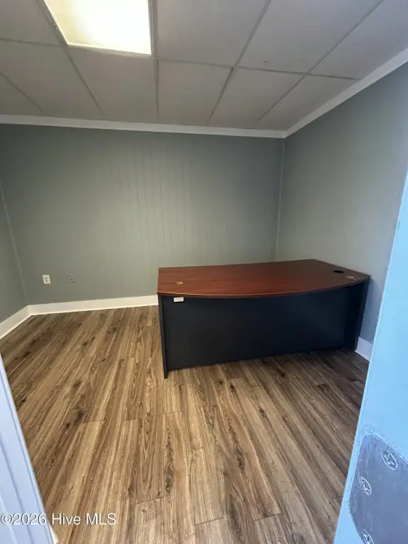 Picture 5