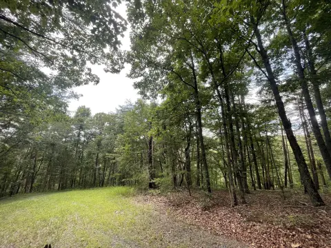 Ranger, GA Land For Sale