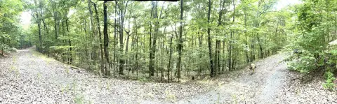 Ranger, GA Secluded Land