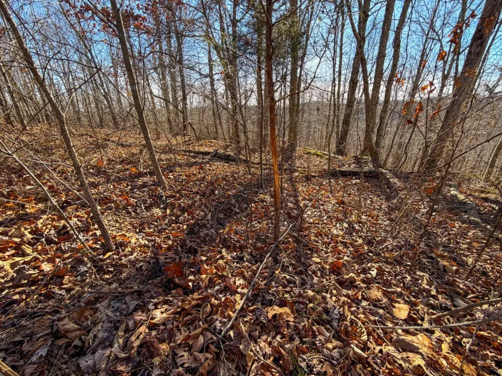 Picture 27