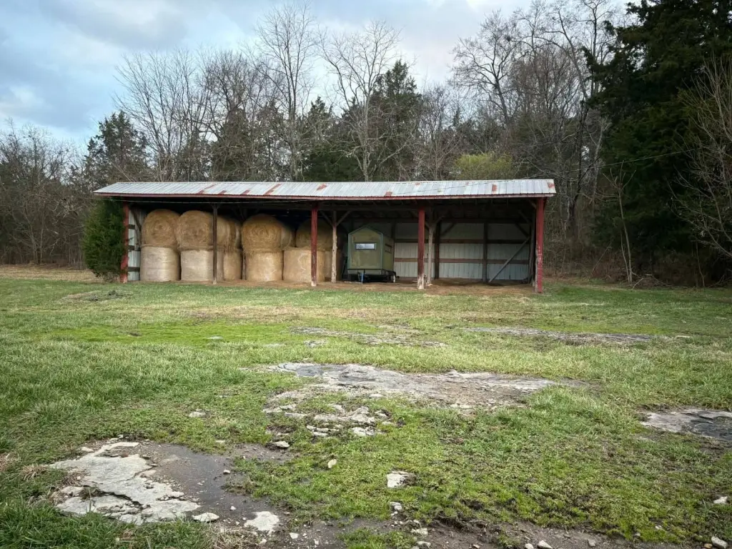 Picture 15