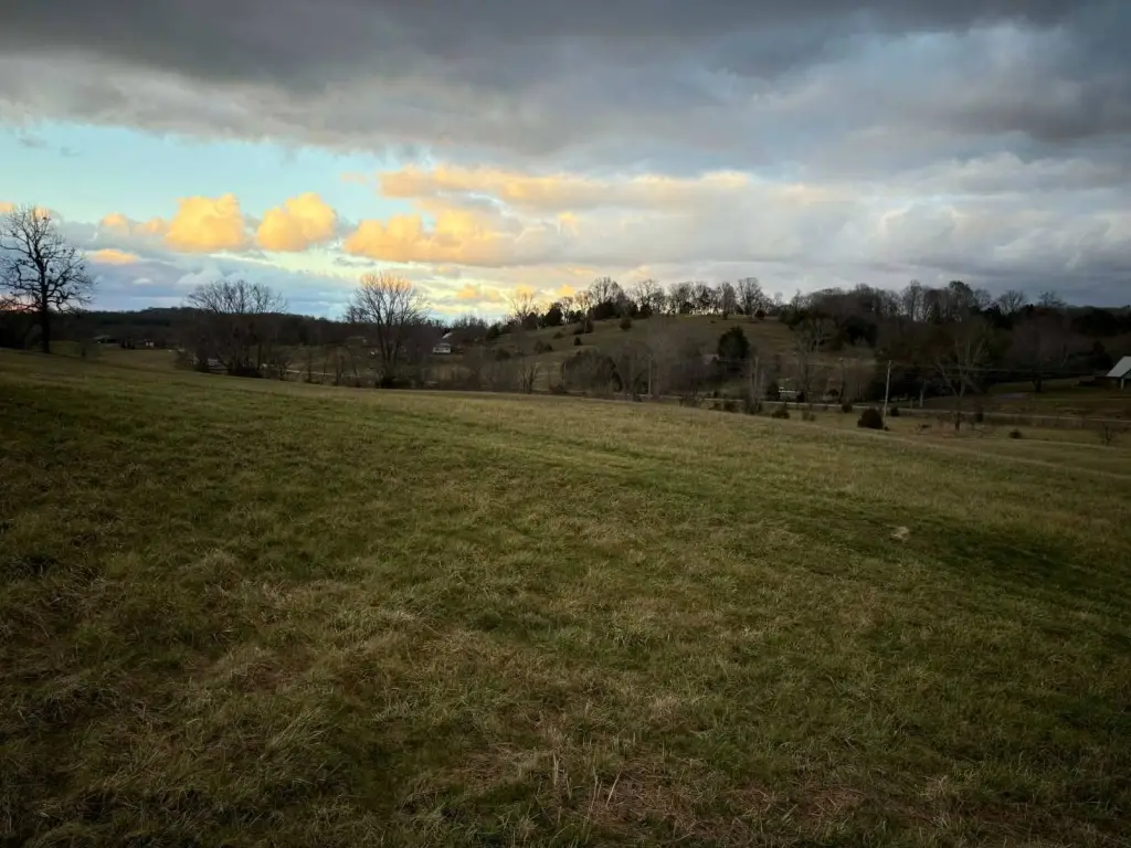 Picture 13