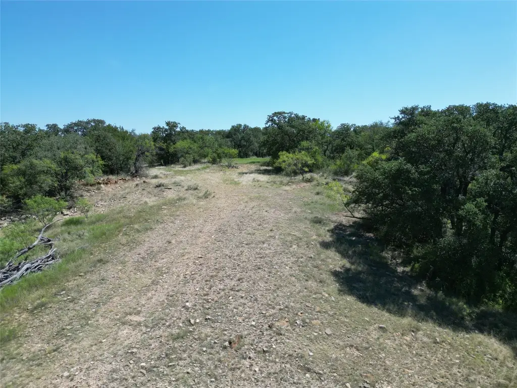 Picture 21