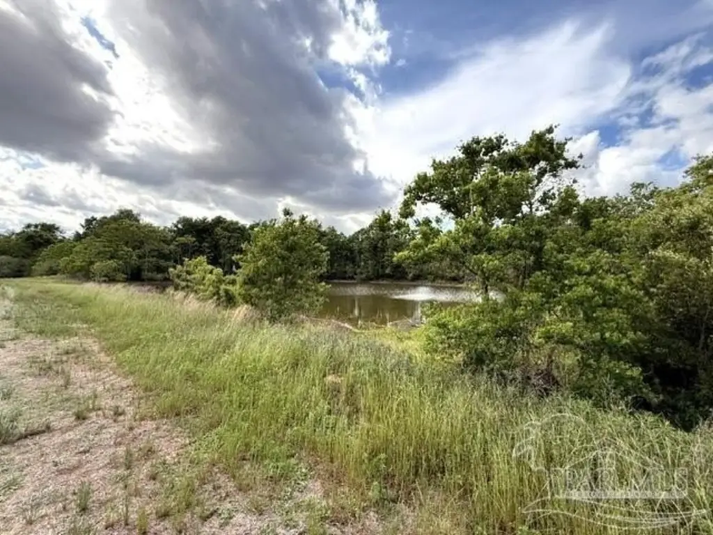 Picture 6