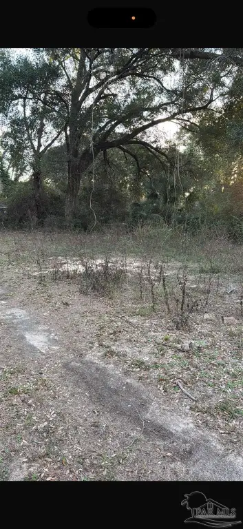 Picture 3