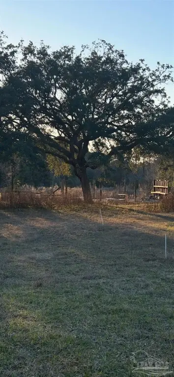 Picture 2