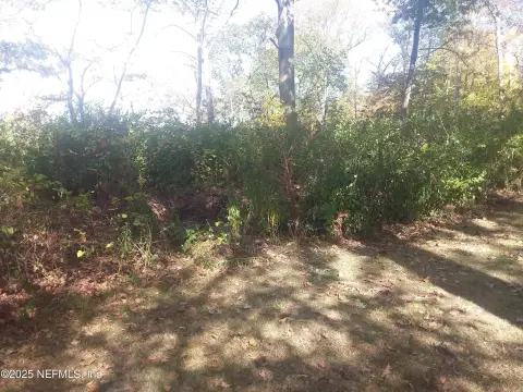 Satsuma Wooded Lot For Sale