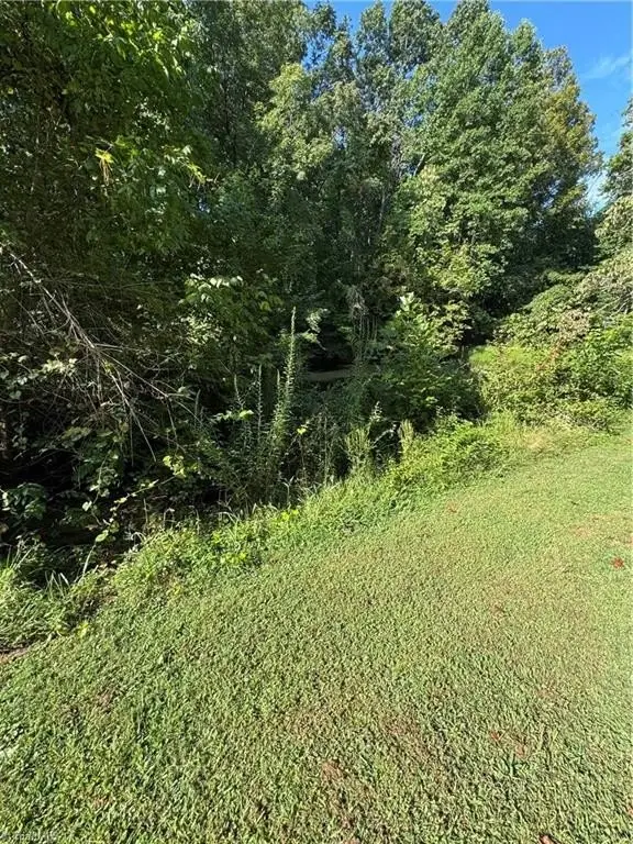 Picture 29