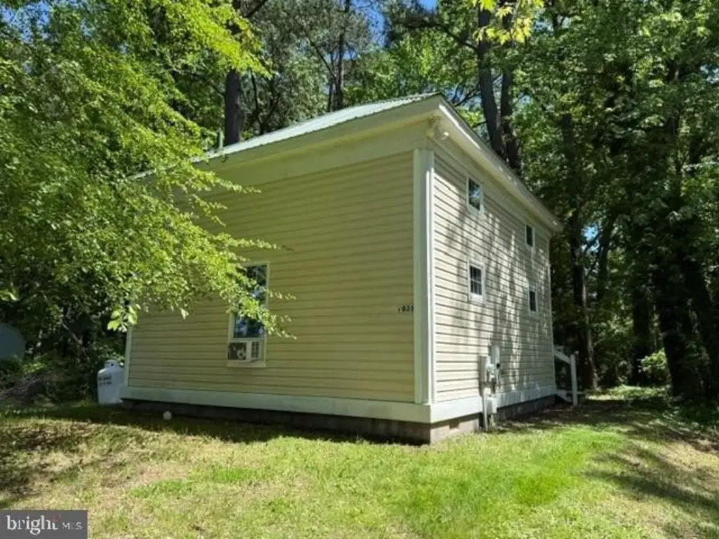 Picture 7