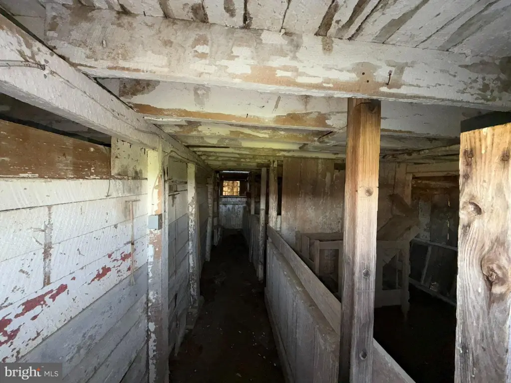 Picture 22